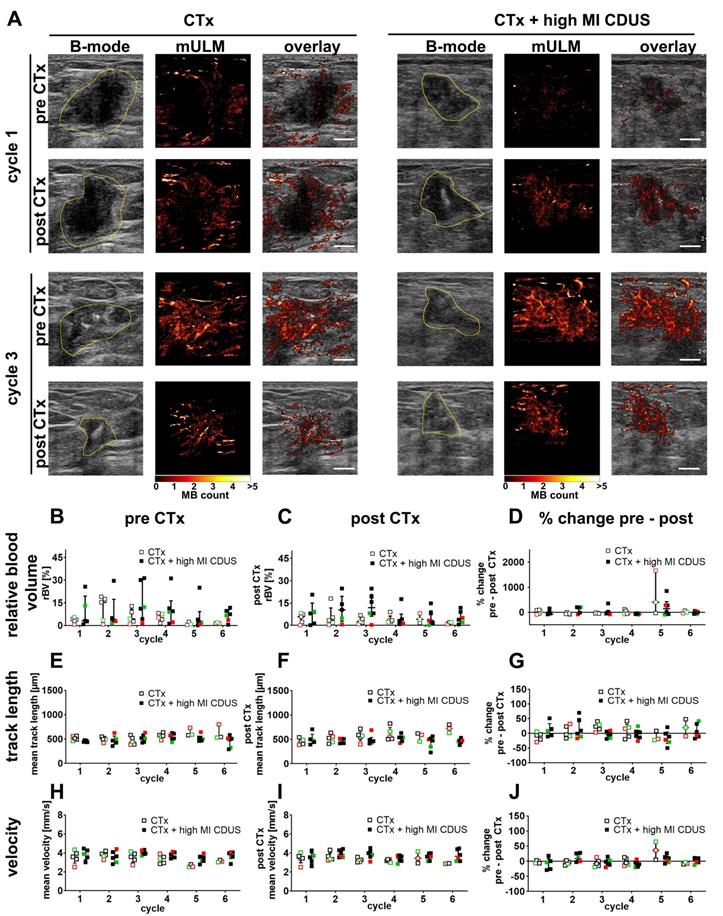 Theranostics Image