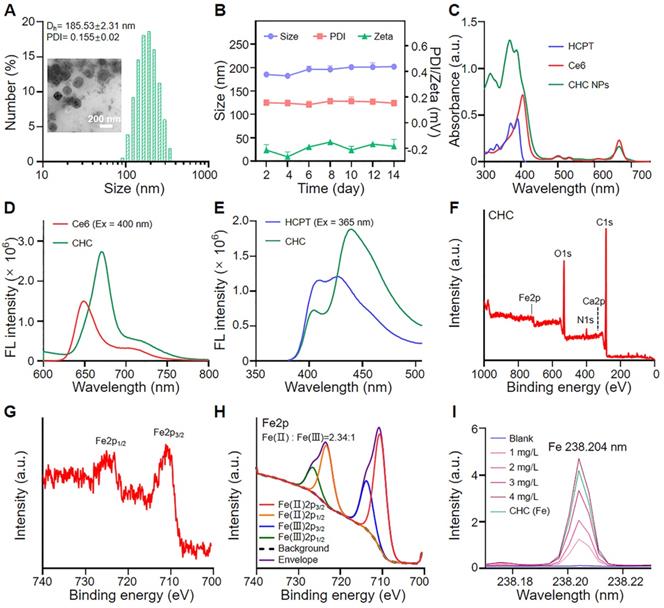 Theranostics Image