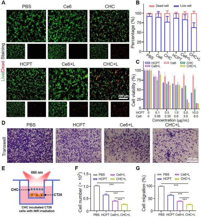 Theranostics Image