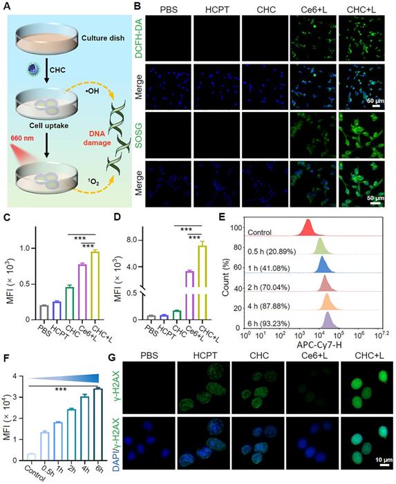 Theranostics Image