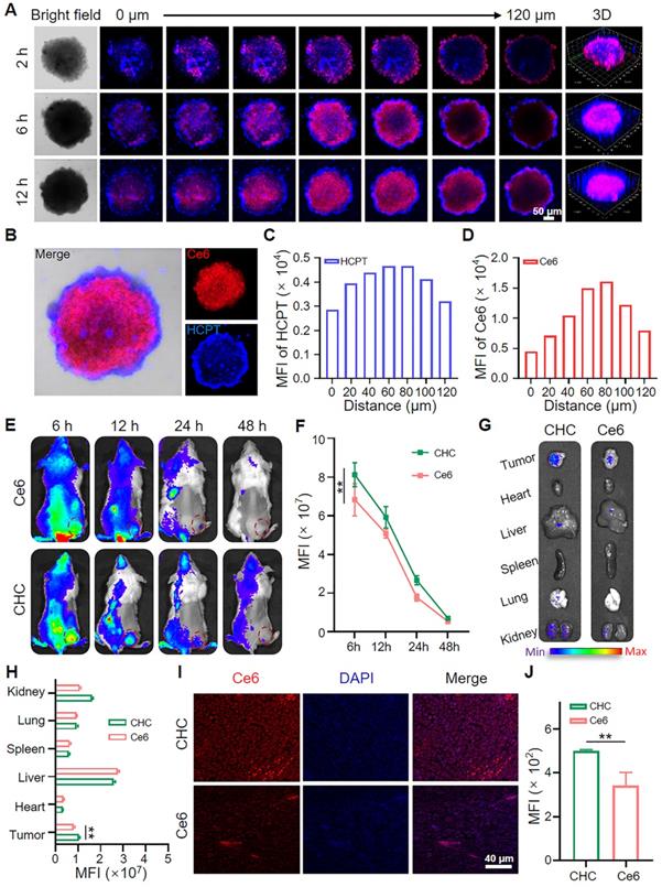 Theranostics Image