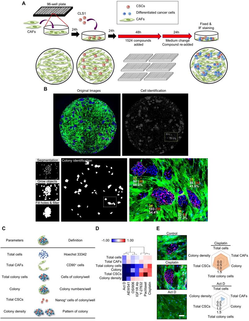 Theranostics Image