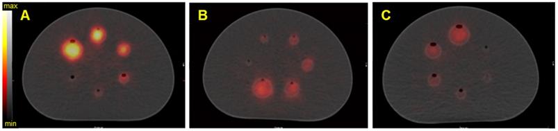 Theranostics Image