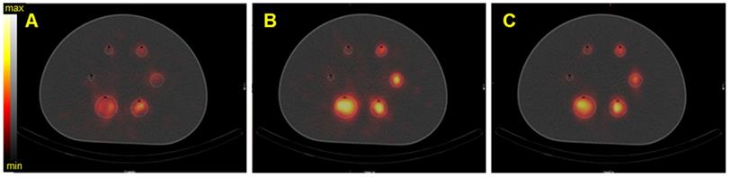 Theranostics Image