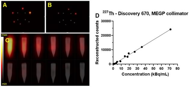 Theranostics Image