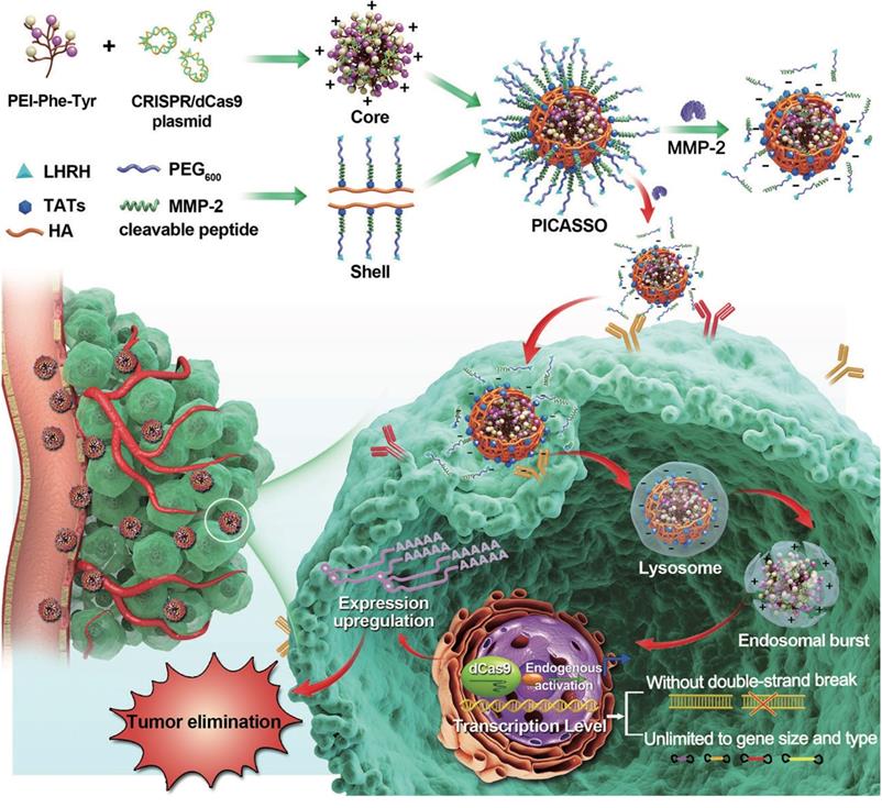 Theranostics Image