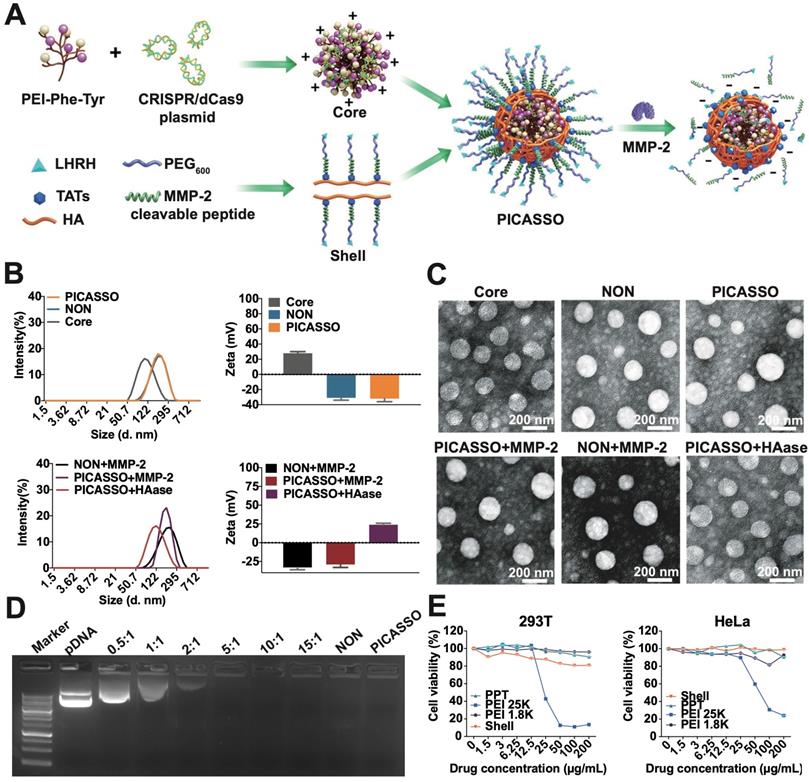 Theranostics Image