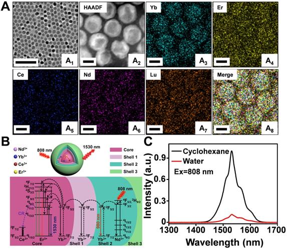 Theranostics Image