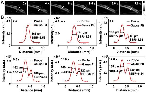 Theranostics Image