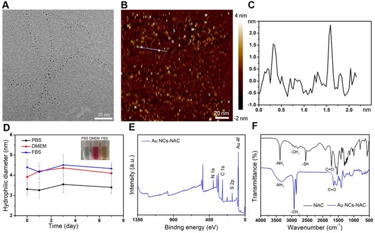 Theranostics Image