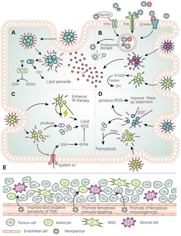 Theranostics Image