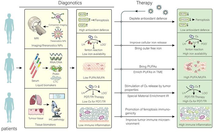 Theranostics Image