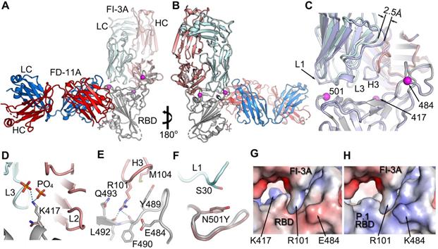 Theranostics Image