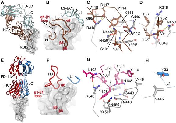 Theranostics Image