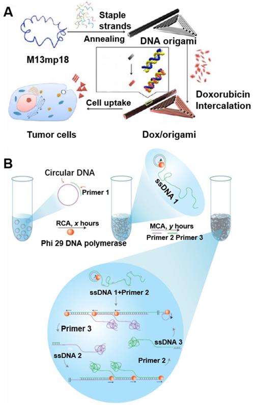 Theranostics Image