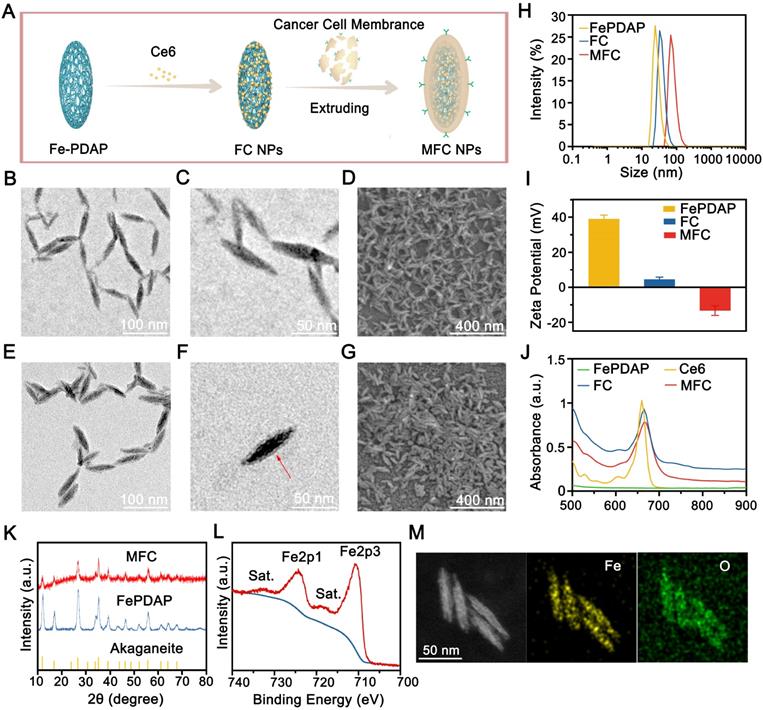 Theranostics Image