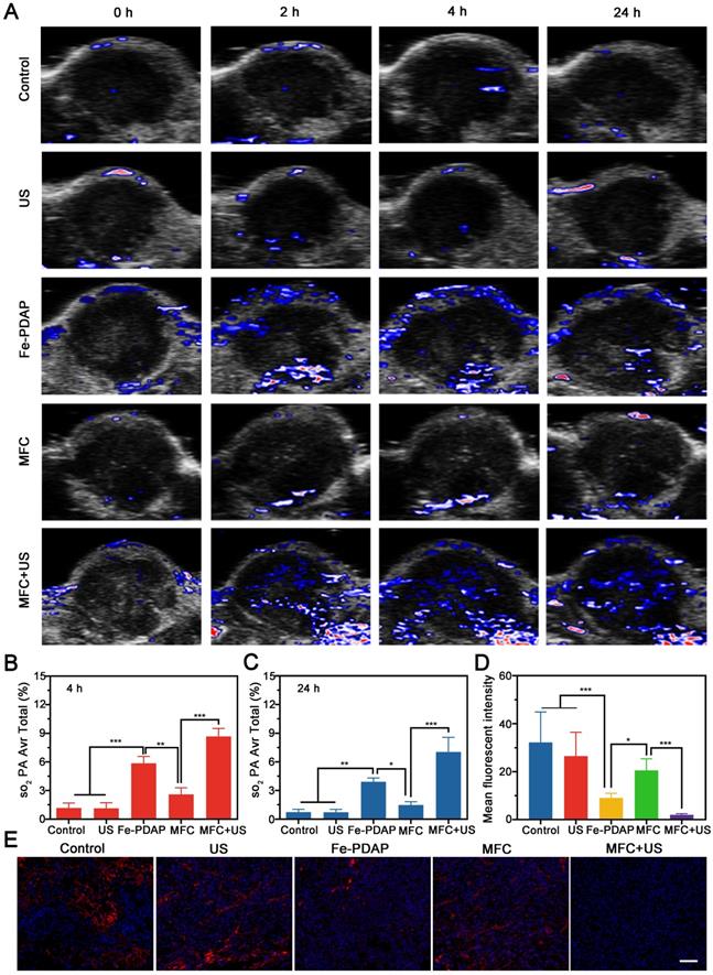 Theranostics Image