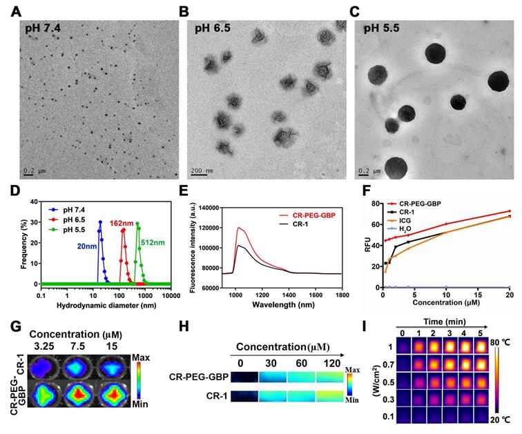 Theranostics Image