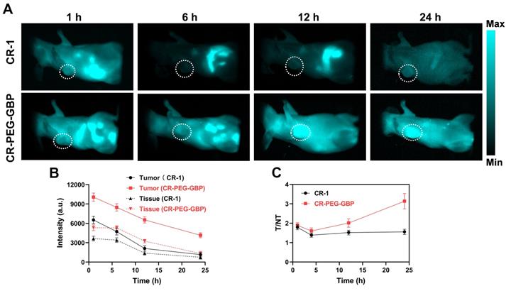 Theranostics Image