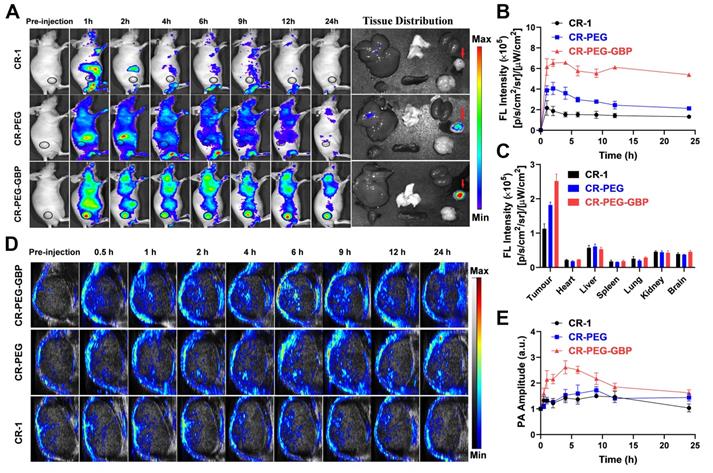 Theranostics Image