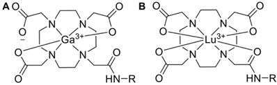 Theranostics Image