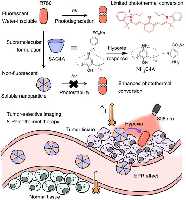 Theranostics Image