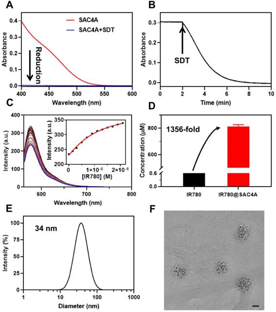 Theranostics Image