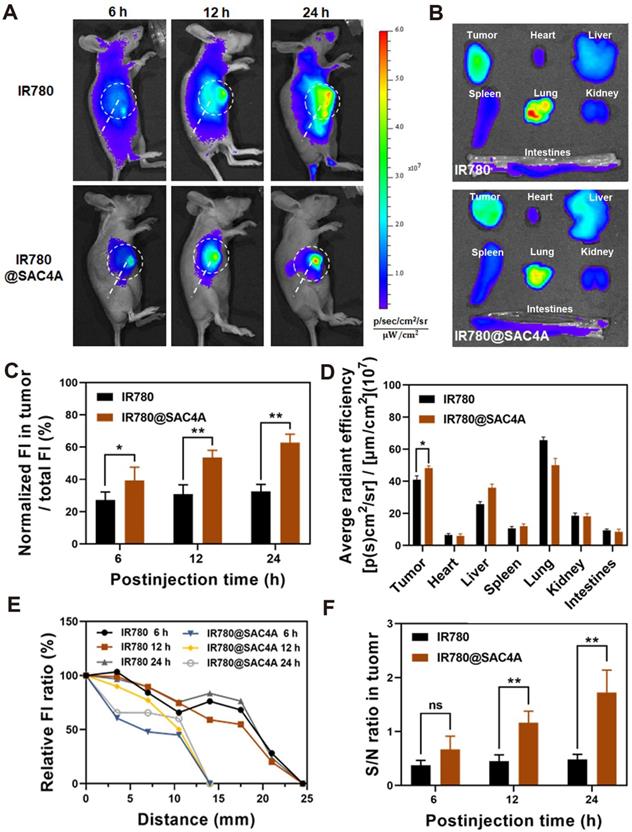 Theranostics Image