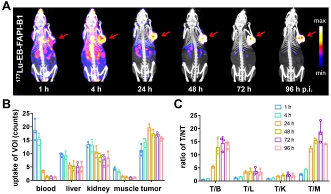 Theranostics Image