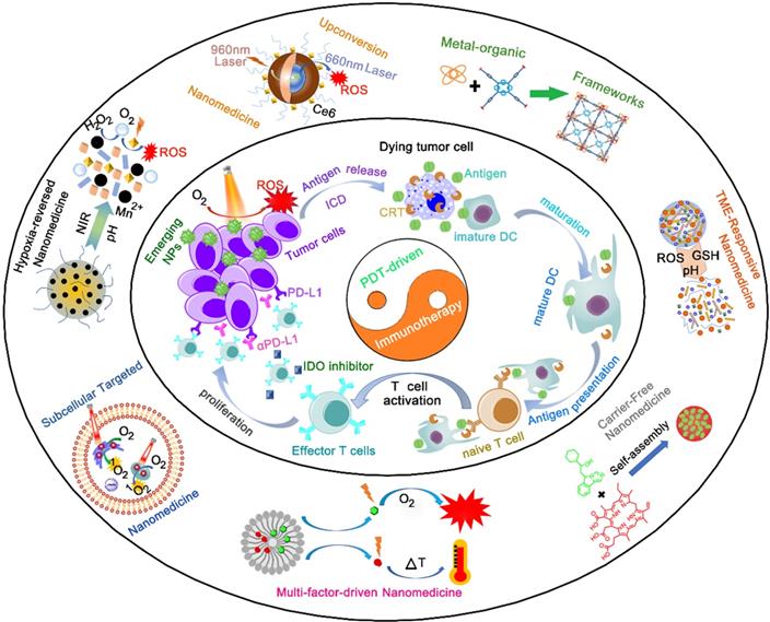 Theranostics Image