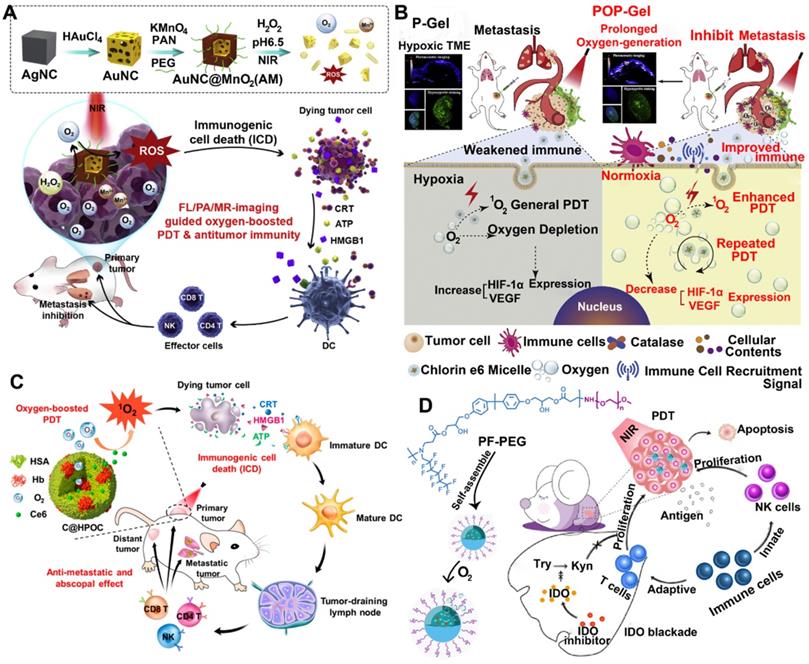 Theranostics Image