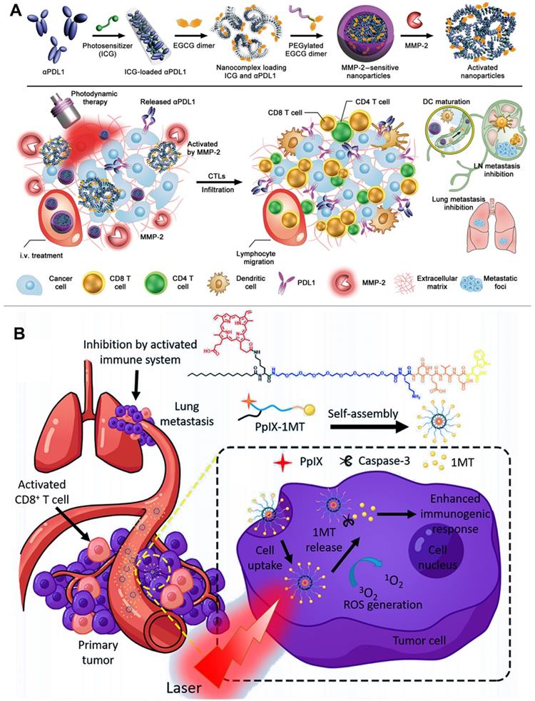 Theranostics Image