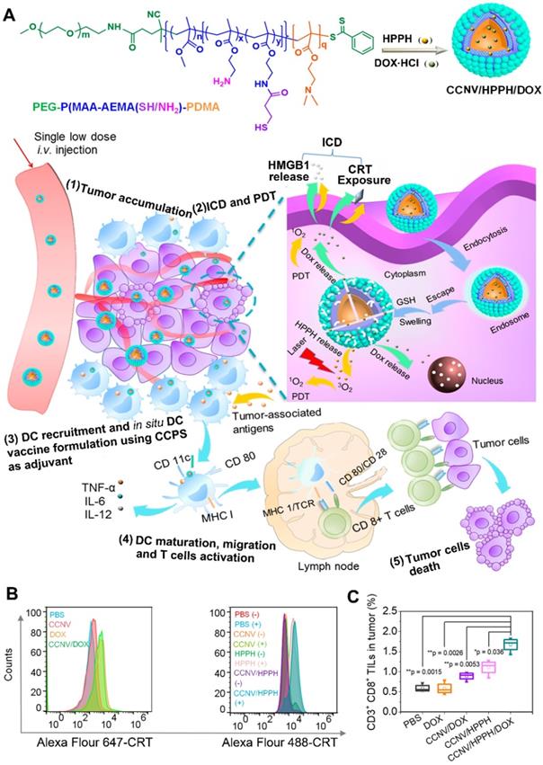 Theranostics Image