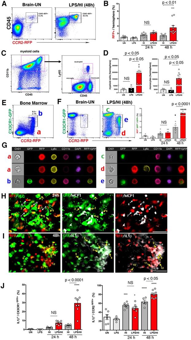 Theranostics Image