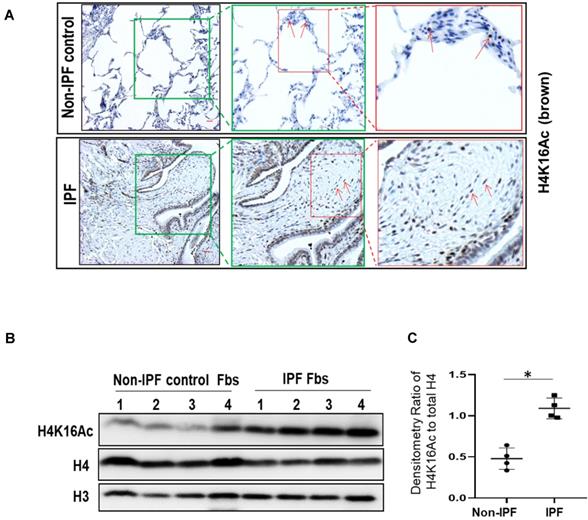 Theranostics Image