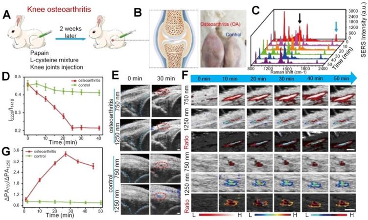 Theranostics Image