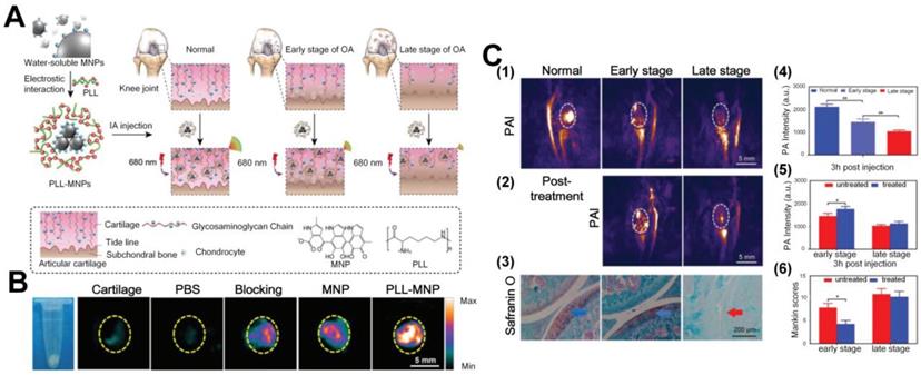 Theranostics Image