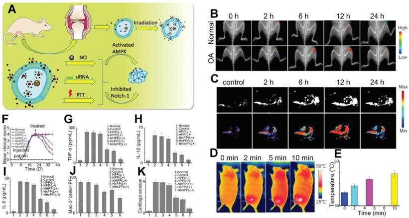 Theranostics Image