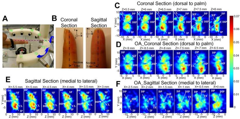 Theranostics Image