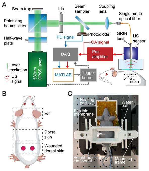 Theranostics Image