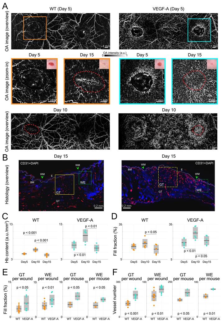 Theranostics Image