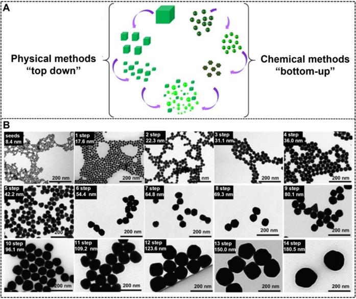 Theranostics Image