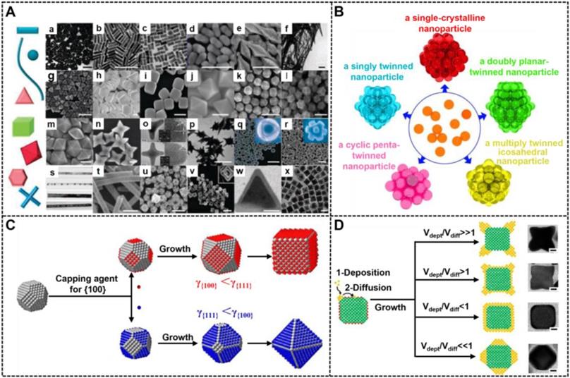 Theranostics Image