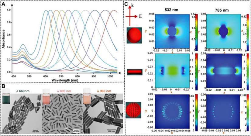 Theranostics Image