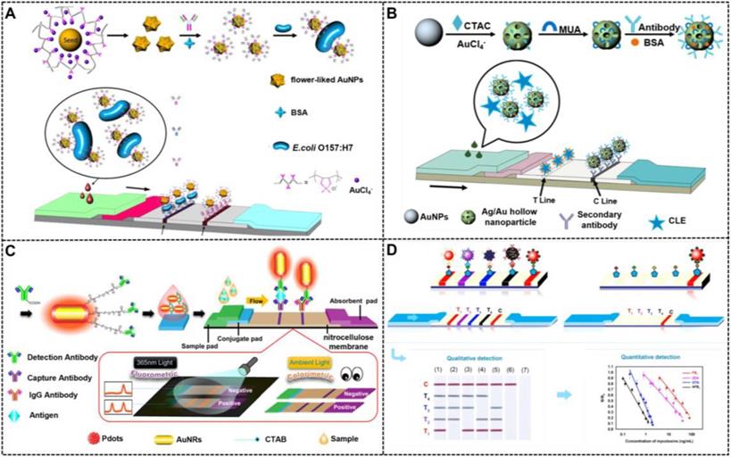 Theranostics Image