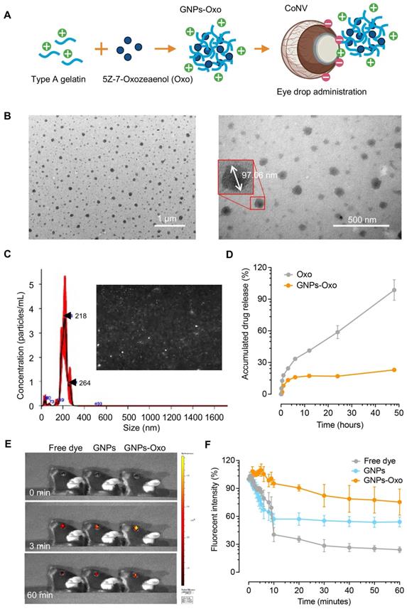 Theranostics Image