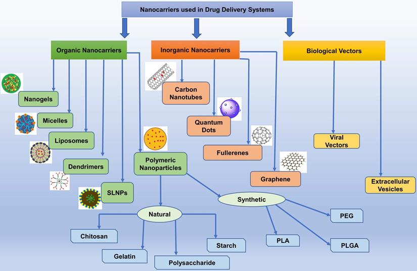 Theranostics Image