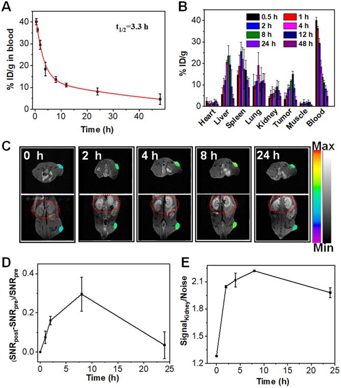 Theranostics Image