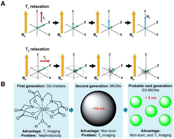 Theranostics Image