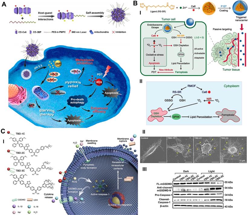 Theranostics Image